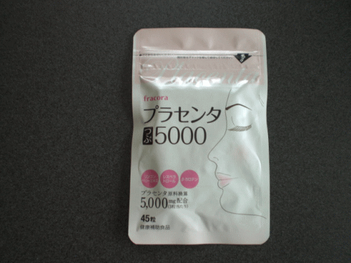 �v���Z���^��5000�@���r���[2