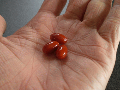 �v���Z���^��5000�@���r���[4