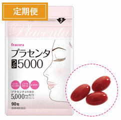 �v���Z���^��5000